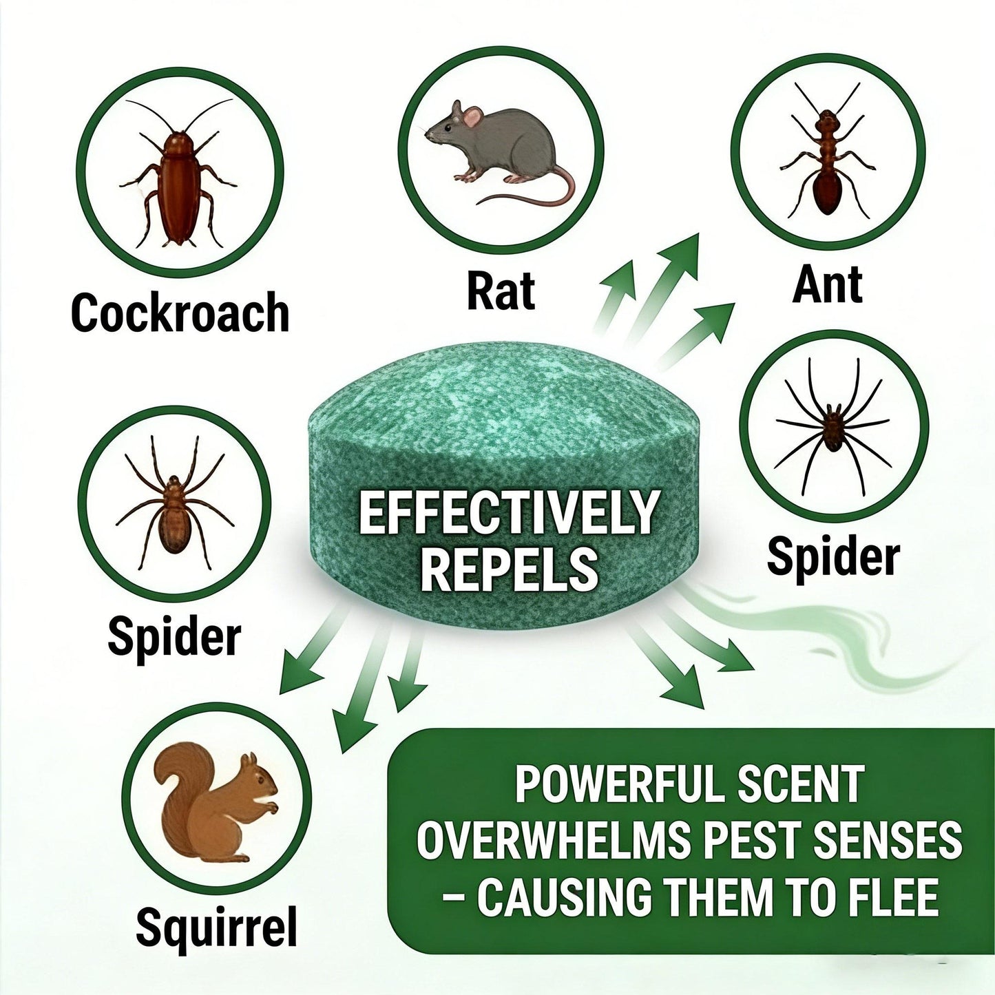 🏆Flash Sale 5K+ SOLD!🔥🟢 Natural Peppermint Rodent Repellent Tablets – 10 Pack