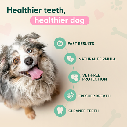 🔥LAST DAY 49% OFF🔥Pet Oral Spray for Dogs & Cats — From Bad Breath to Fresh Kisses
