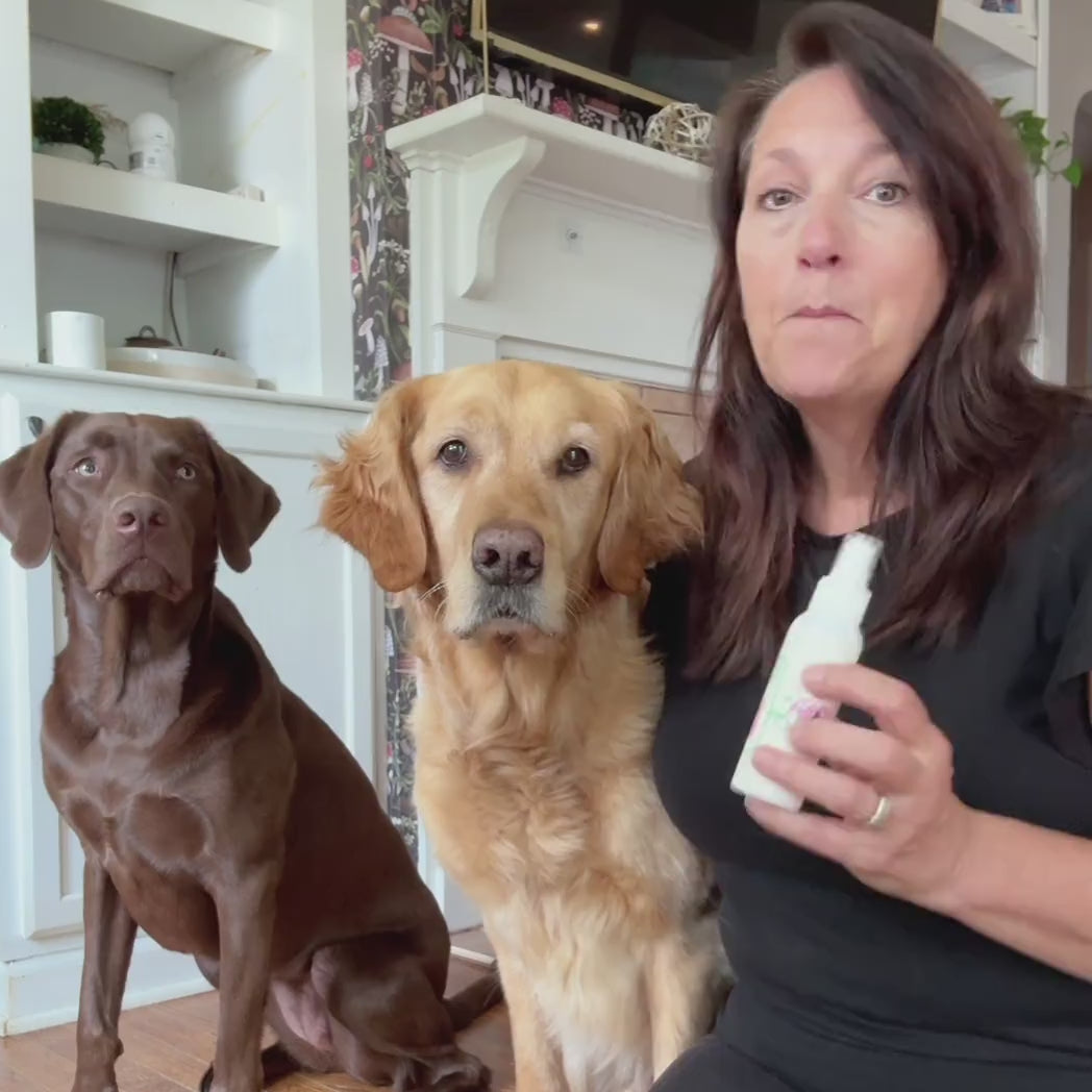 🔥LAST DAY 49% OFF🔥Pet Oral Spray for Dogs & Cats — From Bad Breath to Fresh Kisses