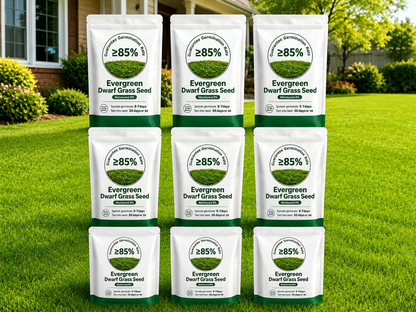 🔥Last Day Promotion 49% OFF🔥🌱2026 Evergreen Dwarf Grass Seed for Four Seasons| Durable, Vibrant Green All Year