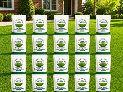 🔥Last Day Promotion 49% OFF🔥🌱2026 Evergreen Dwarf Grass Seed for Four Seasons| Durable, Vibrant Green All Year