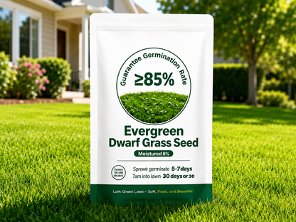 🔥Last Day Promotion 49% OFF🔥🌱2026 Evergreen Dwarf Grass Seed for Four Seasons| Durable, Vibrant Green All Year