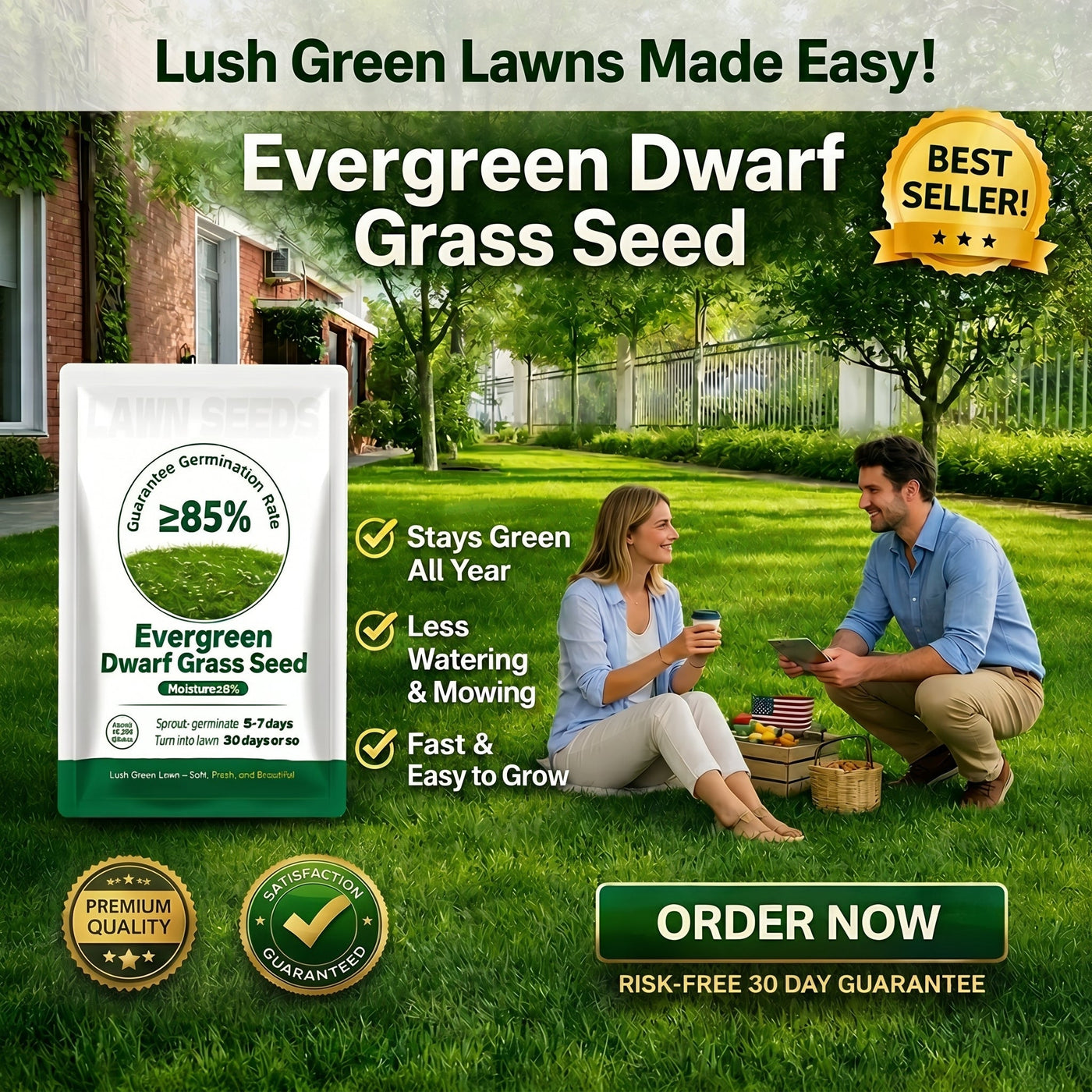 🔥Last Day Promotion 49% OFF🔥🌱2026 Evergreen Dwarf Grass Seed for Four Seasons| Durable, Vibrant Green All Year