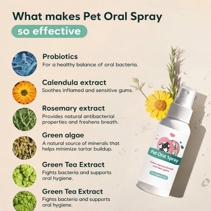 🔥LAST DAY 49% OFF🔥Pet Oral Spray for Dogs & Cats — From Bad Breath to Fresh Kisses