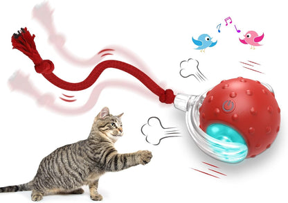 🔥LAST DAY 49% OFF-Interactive Cat Toys Ball for Indoor Cats Fast Rolling on Carpet, Chirping & Motion Activate Cat Toys