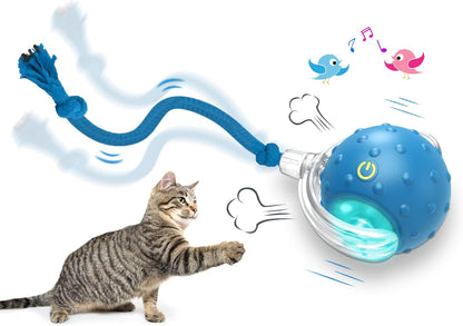 🔥LAST DAY 49% OFF-Interactive Cat Toys Ball for Indoor Cats Fast Rolling on Carpet, Chirping & Motion Activate Cat Toys