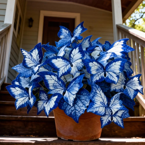 🔥LAST DAY Promotion 49% OFF 🌸Butterfly Leaf Hosta Seeds-Unique ResemblingButterfly Wings