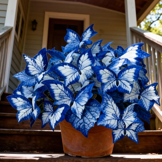 🔥LAST DAY Promotion 49% OFF 🌸Butterfly Leaf Hosta Seeds-Unique ResemblingButterfly Wings