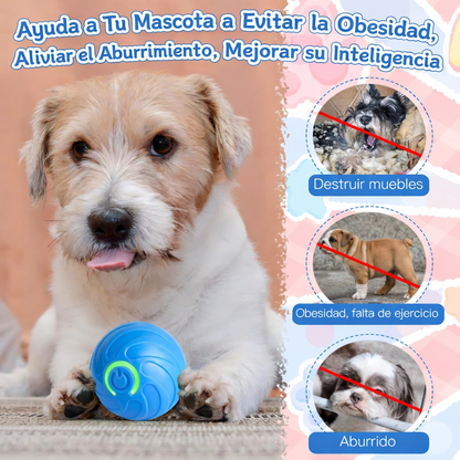 🔥LAST DAY 49% OFF - Interactive Anti-Boredom Dog Ball