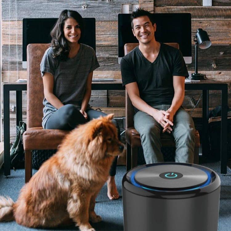 🔥Last Day 50% OFF🔥Ionic Air Purifier From Lab Charge