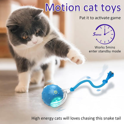 🔥LAST DAY 49% OFF-Interactive Cat Toys Ball for Indoor Cats Fast Rolling on Carpet, Chirping & Motion Activate Cat Toys