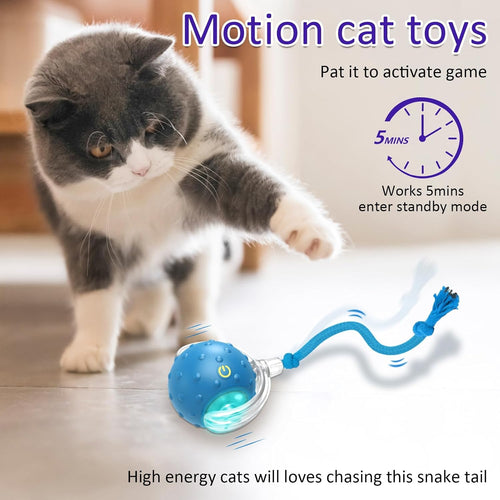 🔥LAST DAY 49% OFF-Interactive Cat Toys Ball for Indoor Cats Fast Rolling on Carpet, Chirping & Motion Activate Cat Toys