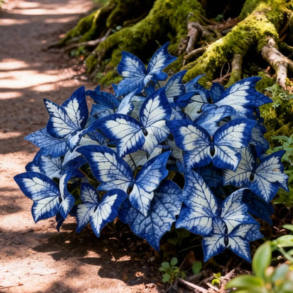🔥LAST DAY Promotion 49% OFF 🌸Butterfly Leaf Hosta Seeds-Unique ResemblingButterfly Wings