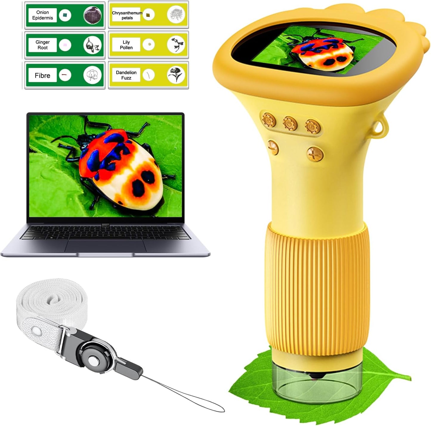 🎁Kid's Digital Microscope