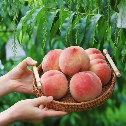 🔥 65K+ SOLD! 🍑 Heirloom "Honey Red" Dwarf Peach Seeds – Rare Red-Flesh Variety, Dwarf Container Friendly & Year-Round Planting 🌿